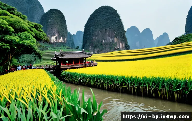 Lễ hội thường niên ở vùng núi lửa: cách chọn thời điểm đi, ngân sách và lưu ý an toàn 4 화산 지역의 연례 행사 관련 이미지 2
